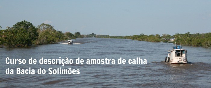 Petróleo - solimões