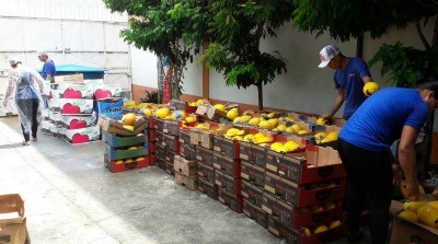 projeto logística reversa