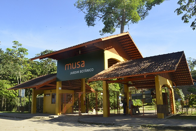 musa
