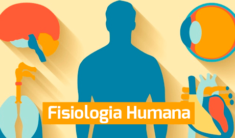 fisiologia_humana